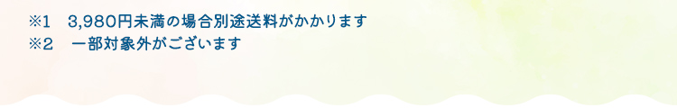 ※1 3,980円未満の場合別途送料がかかります ※2 一部対象外がございます