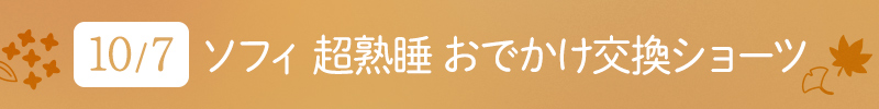 10月7日 ソフィ 超熟睡 おでかけ交換ショーツ