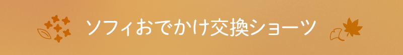 ソフィおでかけ交換ショーツ