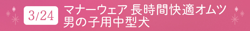 3月24日 マナーウェア 長時間快適オムツ男の子用中型犬