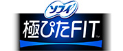 極ぴたフィット