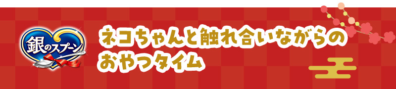 【銀のスプーン】ネコちゃんと触れ合いながらのおやつタイム