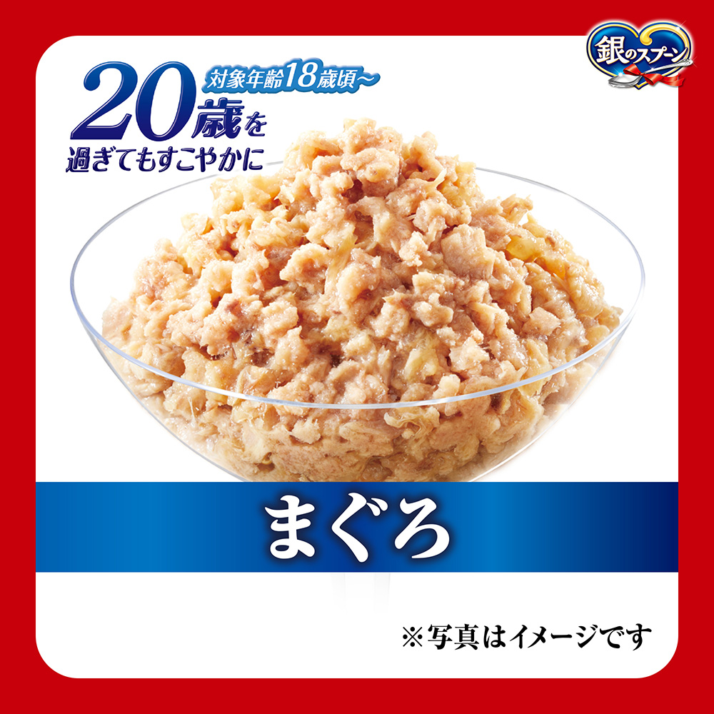 銀のスプーンパウチ20歳を過ぎてもすこやかにまぐろ60g×12個｜ユニ