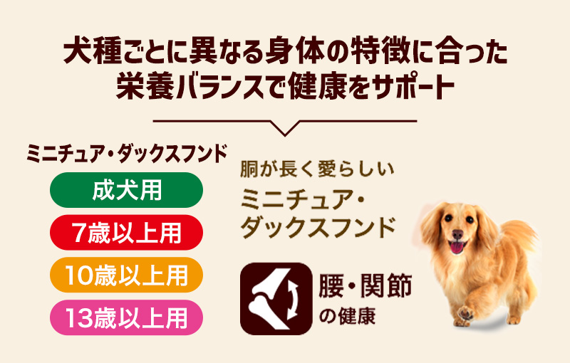 犬種ごとに異なる身体の特徴に合った栄養バランスで健康をサポート　【胴が長く愛らしいミニチュア・ダックスフンド】成犬用/7歳以上用/10歳以上用/13歳以上用　腰・関節の健康