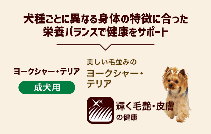 犬種ごとに異なる身体の特徴に合った栄養バランスで健康をサポート 【美しい毛並みのヨークシャー・テリア】成犬用 輝く毛艶・皮膚の健康