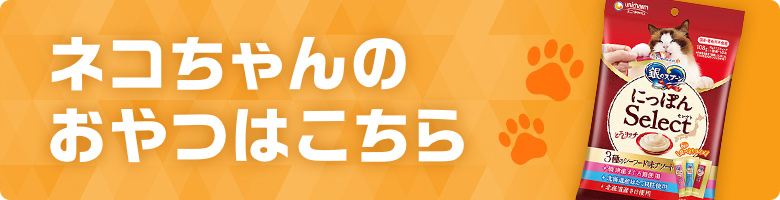 ネコちゃんのごはんはこちら