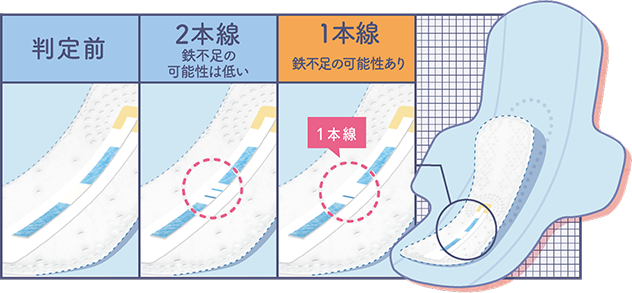 2本線：鉄不足の可能性は低い　/　1本線：鉄不足の可能性あり