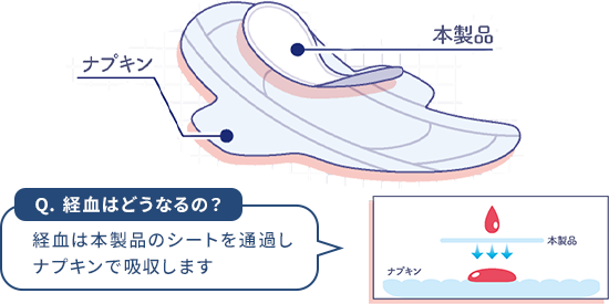 Q.経血はどうなるの？ A.経血は本製品のシートを通過し、ナプキンで吸収します