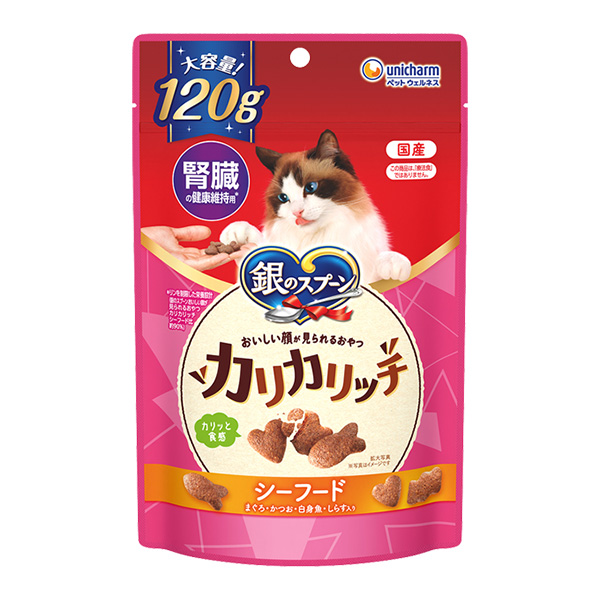 銀のスプーンカリカリッチ腎臓維持120g 銀のスプーンカリカリッチ腎臓維持120g