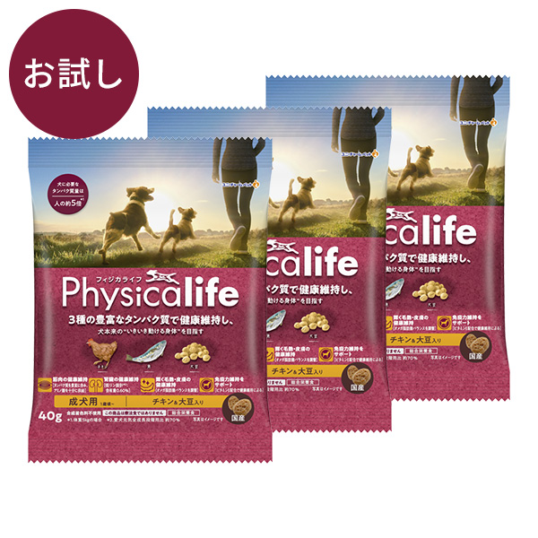 Ｐｈｙｓｉｃａｌｉｆｅチキン４０