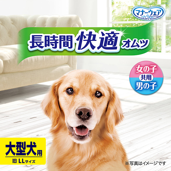 マナーウェア　長時間オムツ