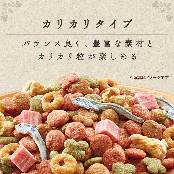 カリカリタイプ