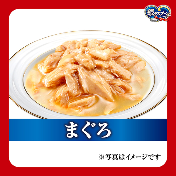 お魚の旨みギュッと お魚の旨みギュッと