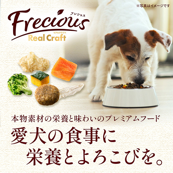Frecious Real Craft（フレシャス リアルクラフト）
