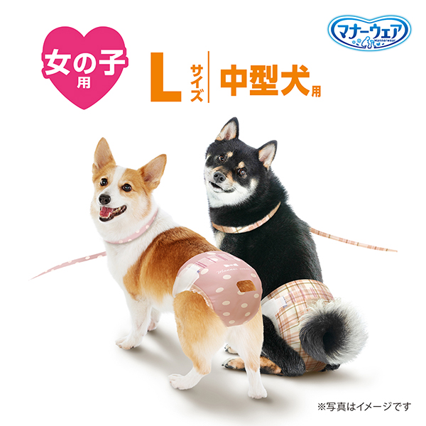 短時間使用にオススメ！