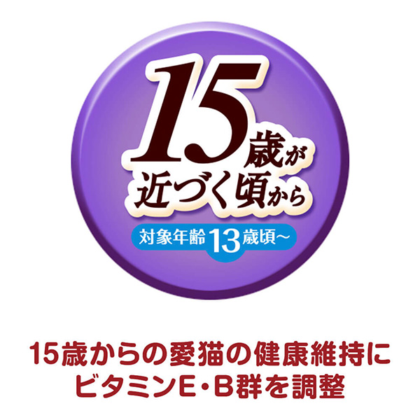 15歳頃から