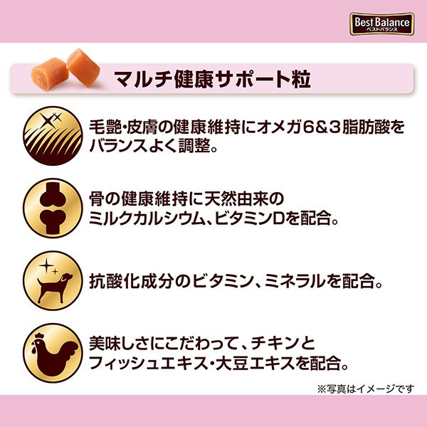 ミニチュア・ダックスフンド　13歳以上用