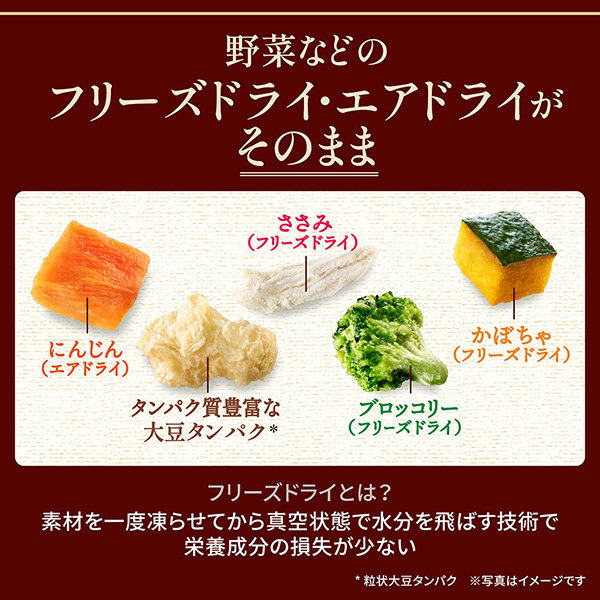 野菜などのフリーズドライ・エアドライがそのまま