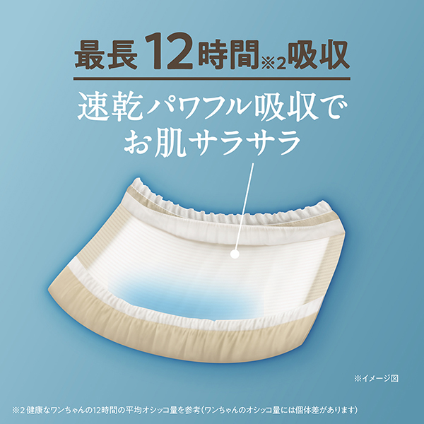 最長12時間※2吸収