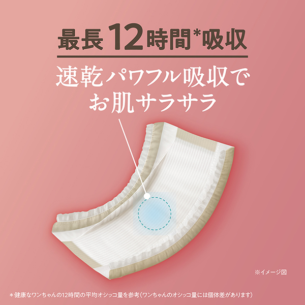 最長12時間＊吸収