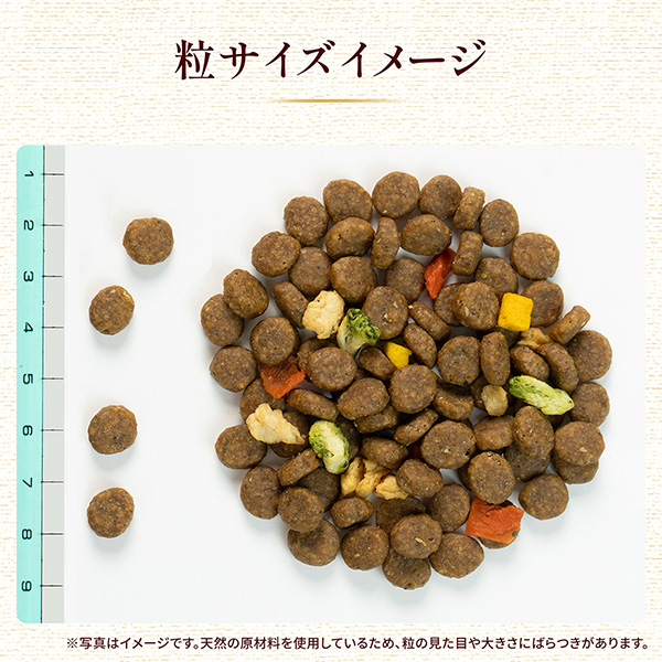 粒サイズイメージ
