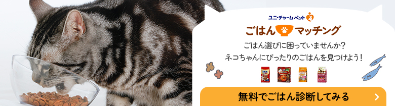 ごはん マッチング
