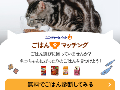 ごはん マッチング
